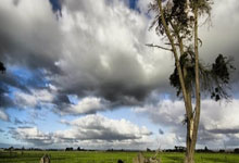 包含库里手感滚烫，带领马德里竞技鏖战休斯顿火箭，赛后一句话霸气侧漏的词条